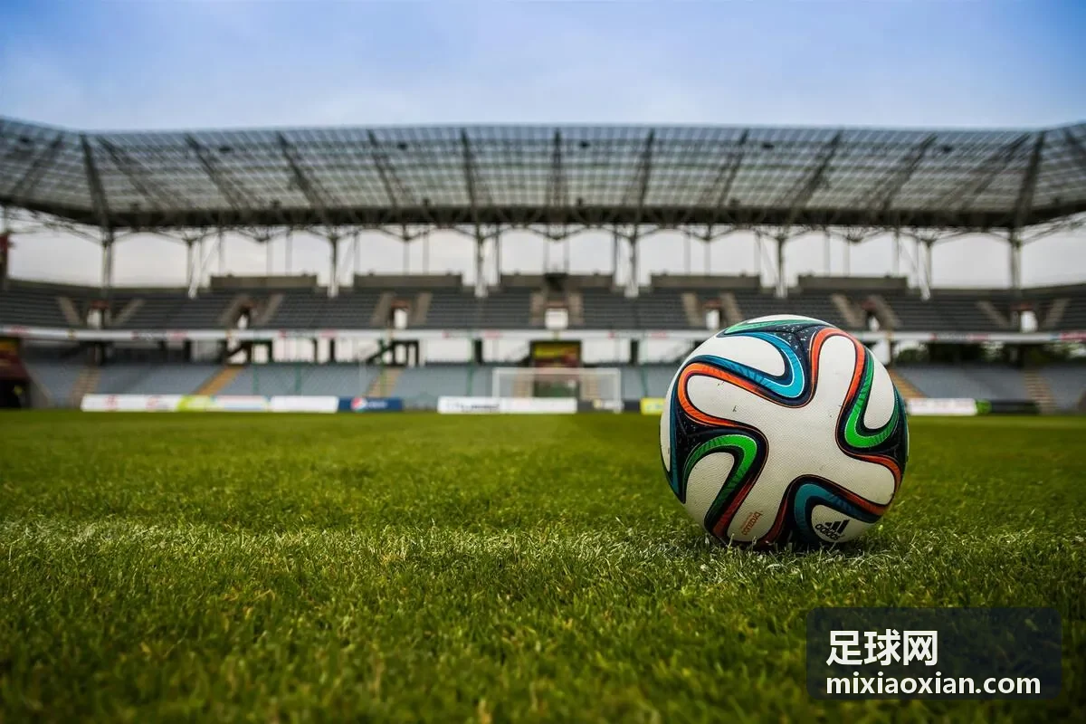 足球网阿根廷国家队英姿