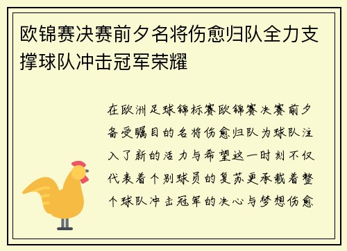 欧锦赛决赛前夕名将伤愈归队全力支撑球队冲击冠军荣耀